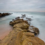 5D3_20130209_1367
