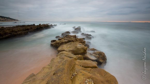 5D3_20130209_1367