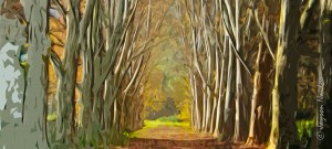 Pathway
