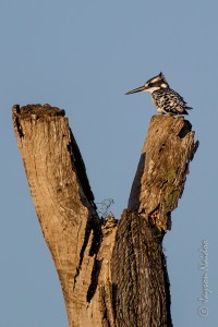 1D4_20140425_173