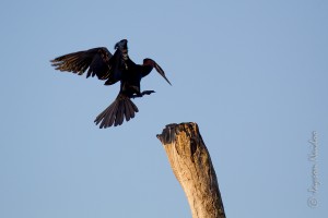 1D4_20140425_189