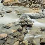 5D3_20140711_0344