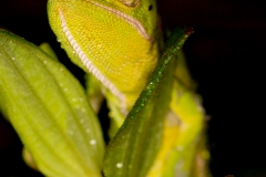 5D3_20160928_369.jpg
